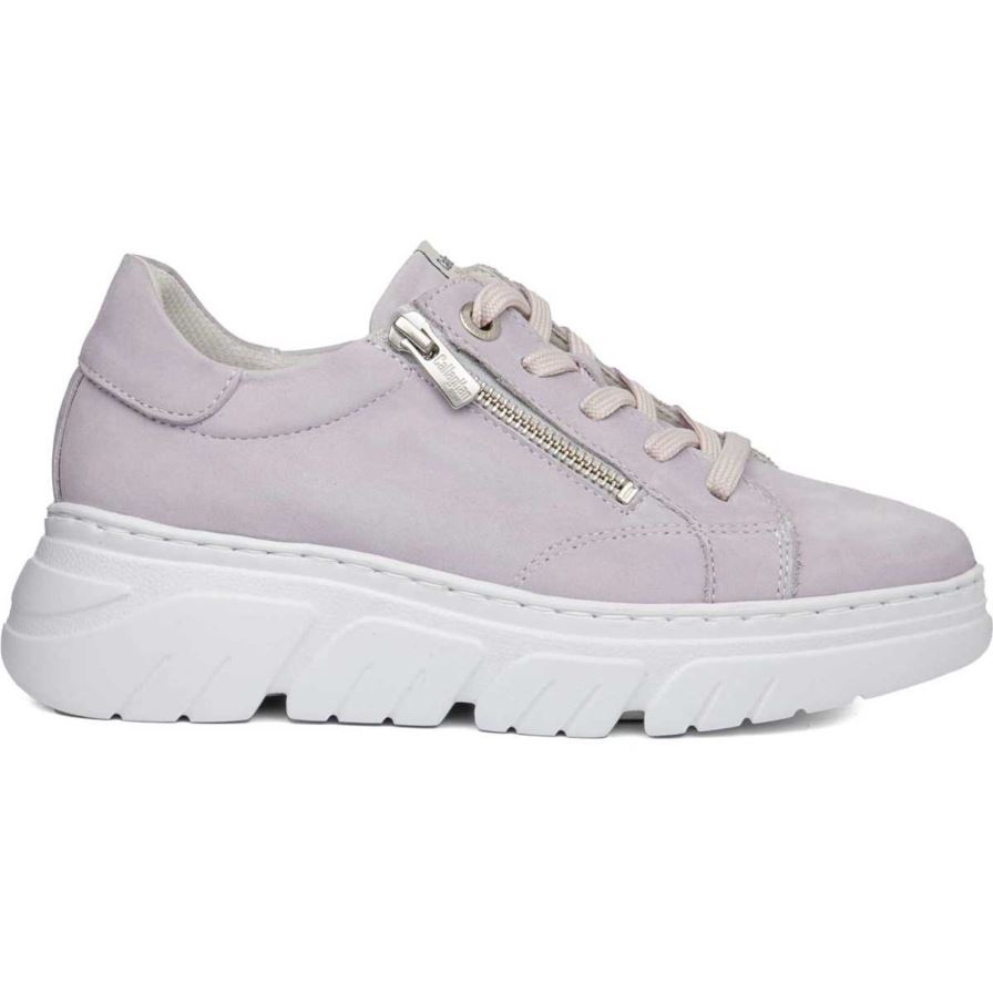 Zapatos Plataforma Callaghan 51801 Baccara Mujer Moradas | ECXVDIK