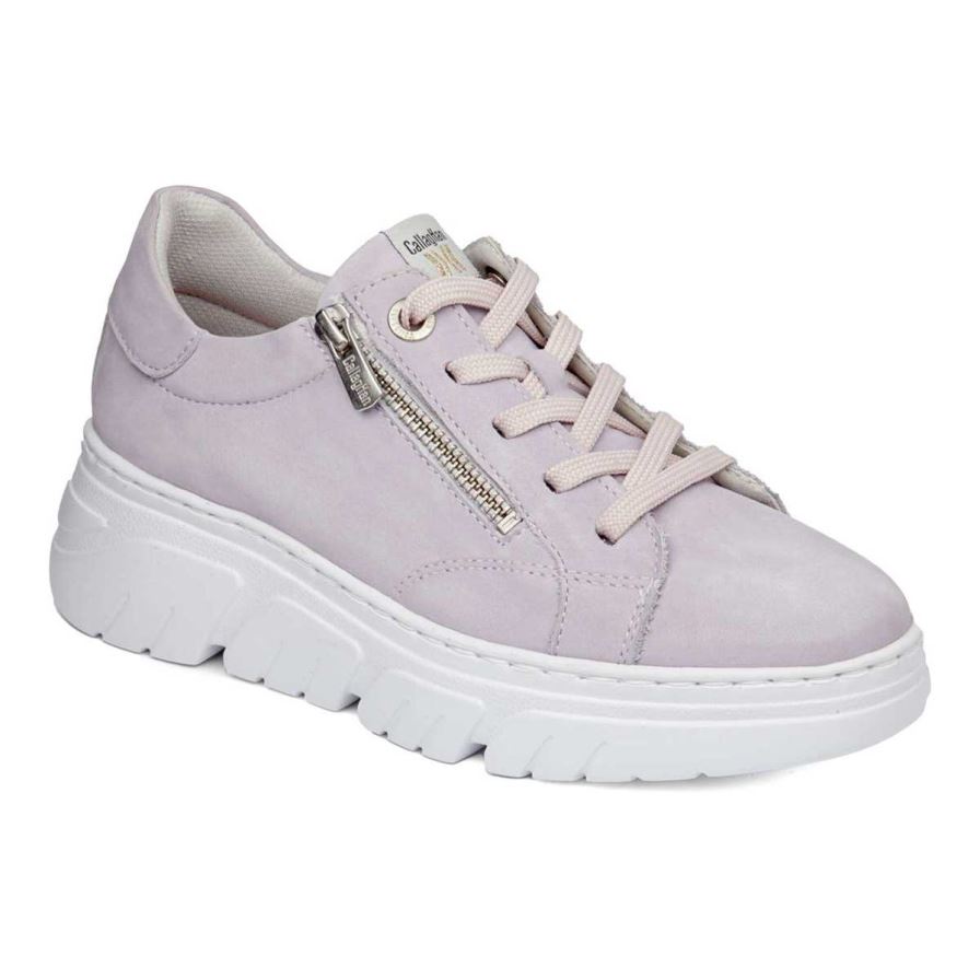 Zapatos Plataforma Callaghan 51801 Baccara Mujer Moradas | ECXVDIK